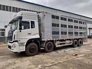 武漢畜禽運輸車保障畜牧產(chǎn)業(yè)平穩(wěn)運行，專用車輛規(guī)范上路