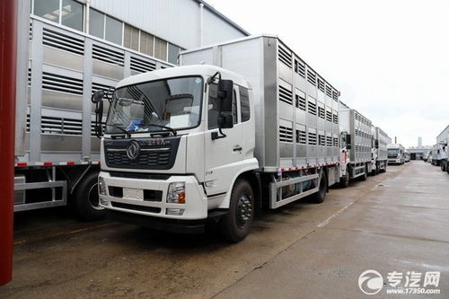 華容9米6畜禽運輸車 程力汽車全國直銷，專業(yè)運輸新選擇